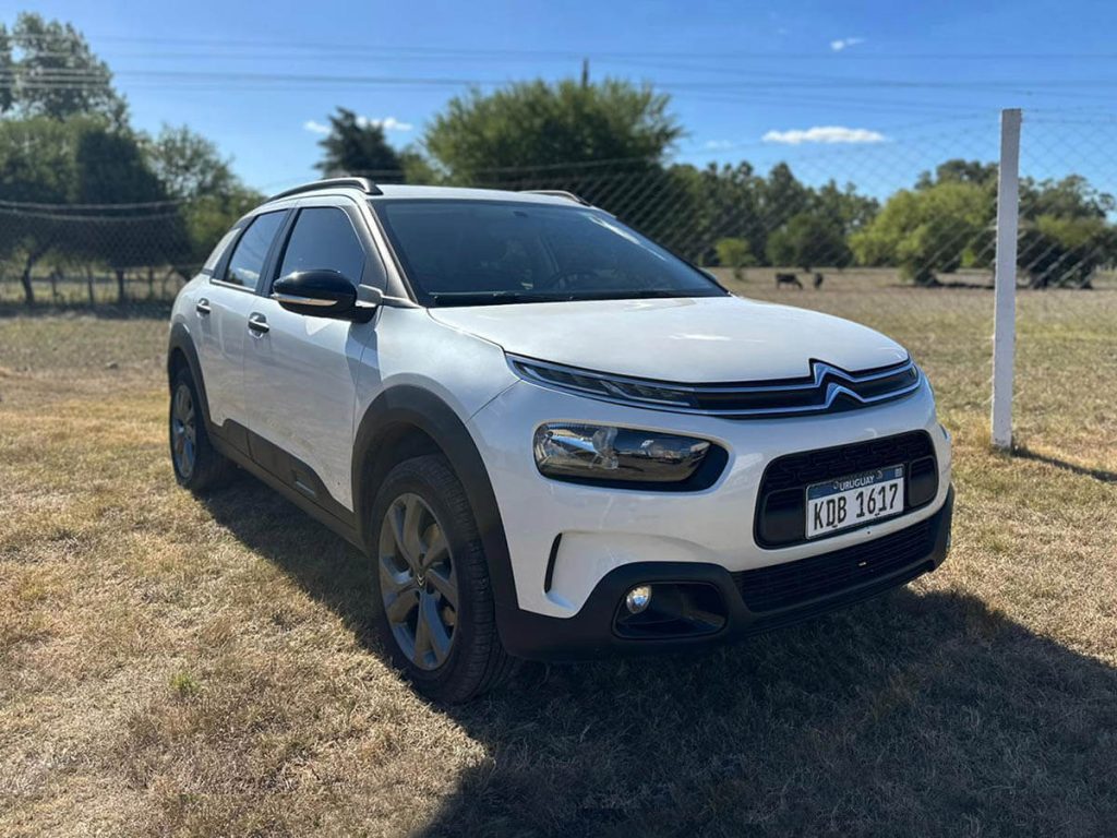 citroen c4 cactus mar10 01