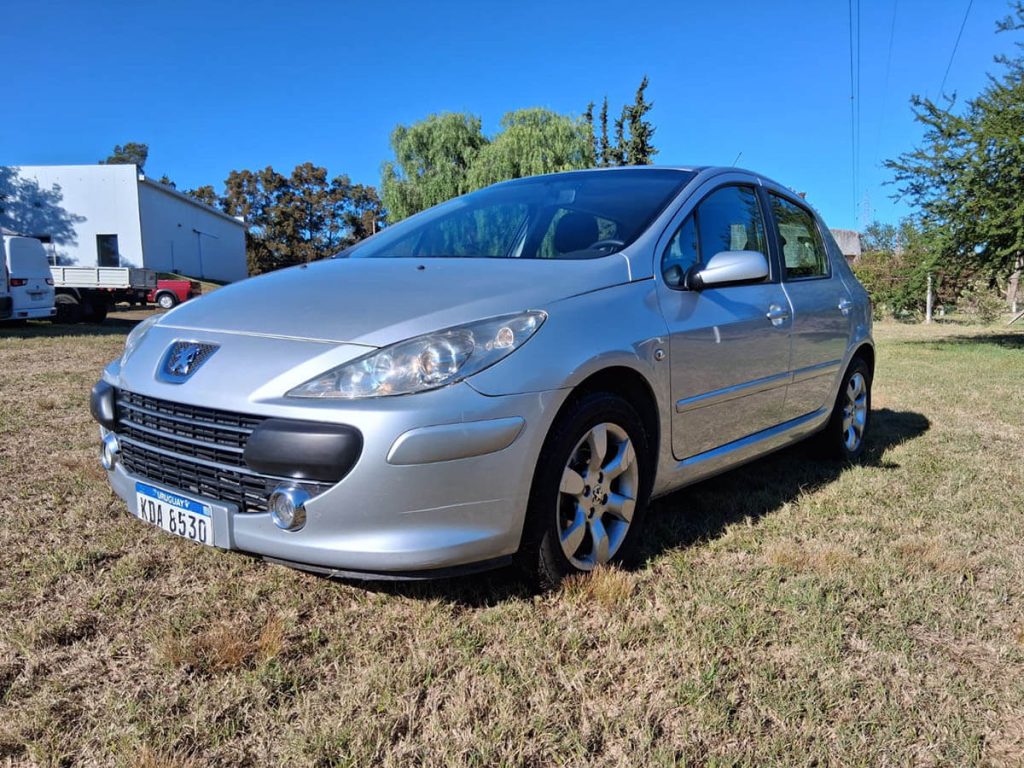 Peugeot 307 mar24 01